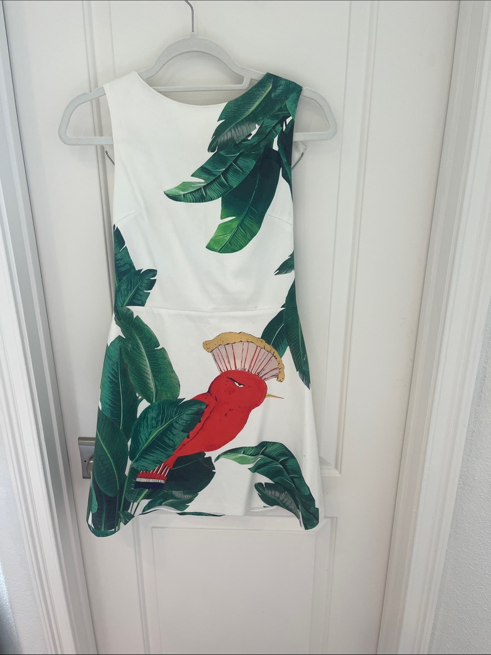 Alice and Olivia dress